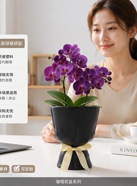 塑料花瓶插花高级摆件跨境花瓶