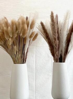100Pcs/lot Pampas Set Decoration Fluffy Natural Living Room
