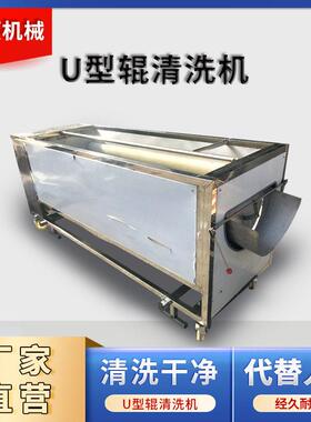 椰枣干洗机果蔬清洗机土豆芋头清洗机