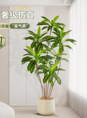 彷真绿色植物巴西木室内客厅沙发边装饰轻奢大型落地盆栽摆件假植