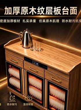 2026新款茶水柜木纹商用消毒柜双门台式餐饮柜烘干茶水柜消毒碗柜