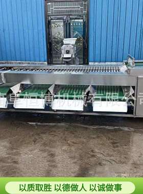 厂家商用橙子筛选机 工业金桔选果机 大型不锈钢苹果分级机