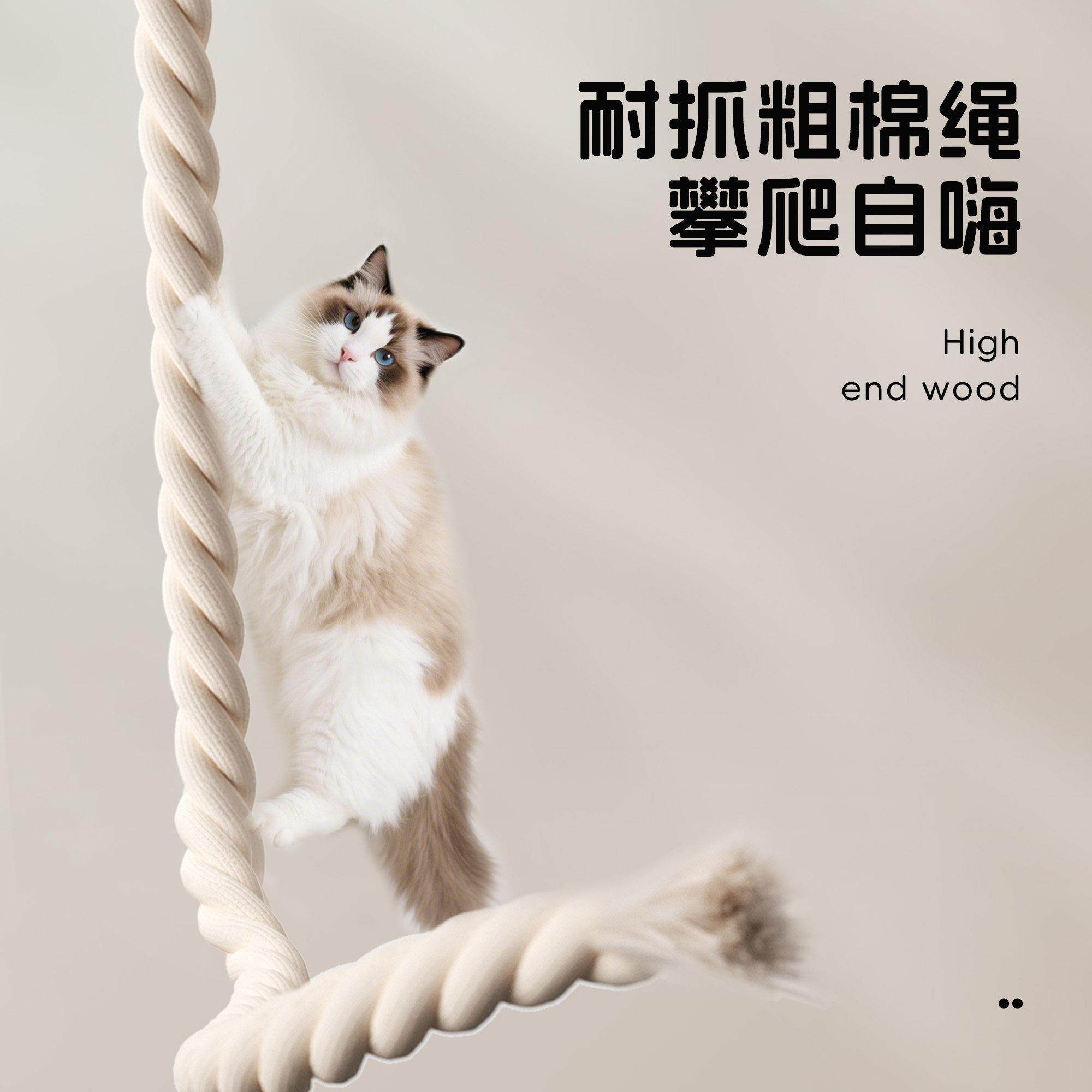 Petpeace猫爬绳吸盘猫爬架猫咪吊床猫窝爬柱窗户玻璃攀爬绳通天绳,淘宝优惠券,粉丝福利购,淘宝优惠卷