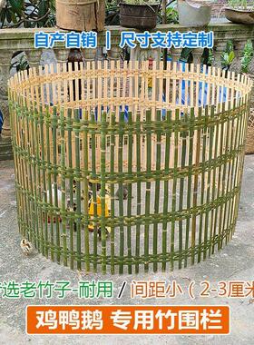 鸡围笼家用竹围栏养鸡鸭鹅竹编栅栏养鸡竹子篱笆庭院围栏摆摊卖鸡