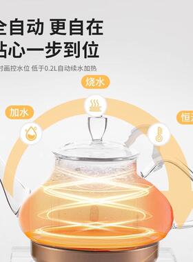 高度DSH-612电热烧水壶纯钛发热盘自动上水智能家用变频恒温煮茶