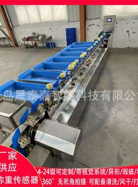 血橙自动分级机青柠滚轮直线式重量选果机砂糖橘大小分选机