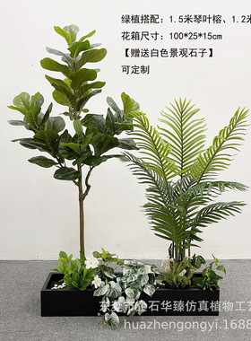 仿真植物造景猴头蕨仿真植物造景组合家居室内落地盆栽假绿植装饰