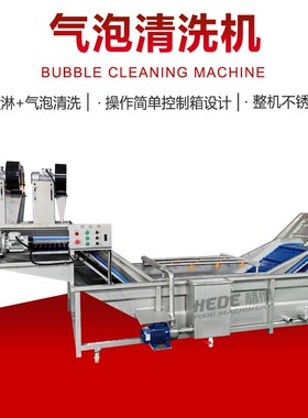 自动鸡毛菜清洗去泥机网带气泡空心菜清洗设备连续式翻浪清洗机