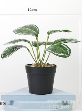 仿真绿植物小盆栽办公室桌面摆设迷你绿植装饰假花客厅摆件