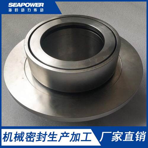 IJ125-100-315DPK机械密封件直销杭州碱泵集装式机械密封 - 图2