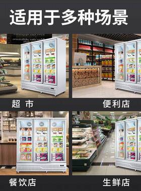巴克大师立式冷冻展示柜冰箱超市食品低温柜冷冻柜商用大容量冰柜