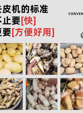 土豆去皮机商用清洗土豆莲藕生姜生蚝猪蹄毛刷多功能全自动脱皮机