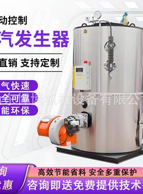 全自动蒸汽锅炉自动手烧燃煤木柴热水锅炉节能环保蒸汽锅炉