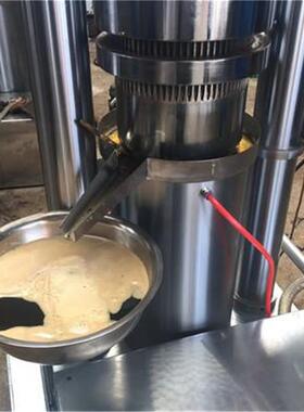花生液压榨油机立式核桃茶籽芝麻香油机开油坊用菜籽椰蓉榨油机
