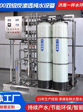 水处备理水设备源头工厂净设纯净水 RO-500双级反渗789透纯水设备