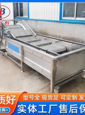 网带自动提升果蔬清洗机多种机型可按需制作加工红薯气泡清洗机