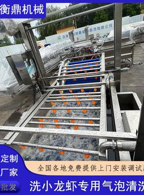 小龙虾清洗机 成套小龙虾清洗蒸煮加工设备 小龙虾预泡清洗生产线