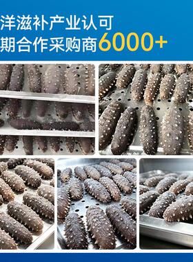 华尔商用速冻柜海参包子饺子急冻柜食品冷冻柜零下45度海鲜速冻机