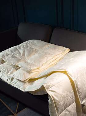 DOWNQUILT春夏轻薄98白鹅绒被芯高端真丝大提花鹅绒被子寐羽绒被