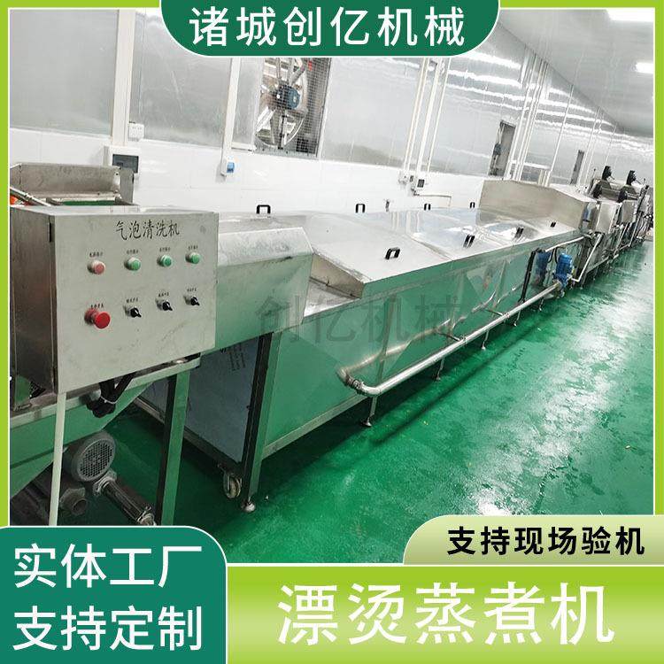 镇店之宝全自动蒸汽蔬菜漂烫机现货果蔬杀青机带提升海鲜蒸煮机,淘宝优惠券,粉丝福利购,淘宝优惠卷