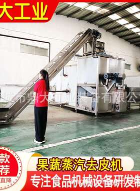源头工厂西红柿圣女果蒸汽去皮机果蔬加工高成率去皮机械设备
