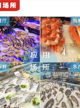 商用片冰机100kg-3吨海鲜火锅店自助餐超市鳞片制冰机锁鲜