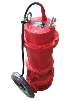 电动潜水泵IMPA591623井水泵污水泵抽水泵农用灌溉水泵110V
