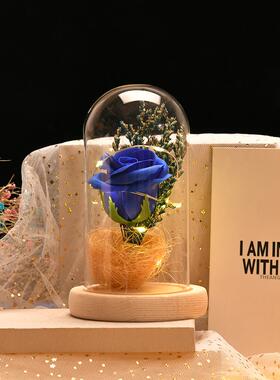 新款香皂花玻璃罩灯罩发光桌面摆件家居微景观摆饰玻璃罩装饰品