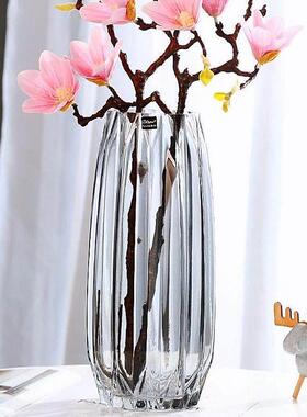 北欧轻奢花瓶摆件客厅插花高级感养鲜花装饰精致花器透明创意摆件