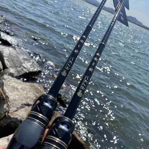 尾崎/路之巅峰 一本半进口全富士SIC虫竿L/ML调1.95-2.04米路亚竿 - 图1