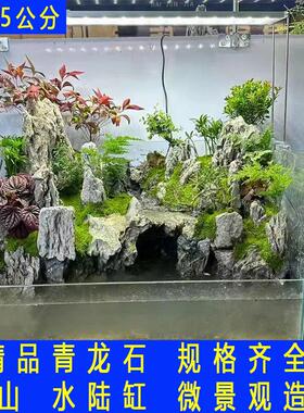 青龙石水族鱼缸造景石微景观造景园林假山石英德产地天然青龙石