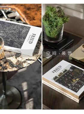 现代简约样板间装饰真书FREUD艺术画册书房书柜摆件摄影仿真道具