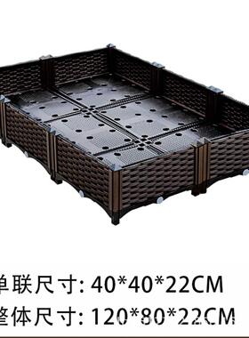 自由组合绿化种植家庭园艺花瓶