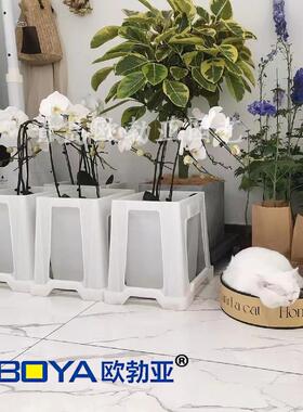 欧勃亚拍市花桶醒花桶鲜花桶养花桶塑料花桶法式摆摊深水桶储水桶