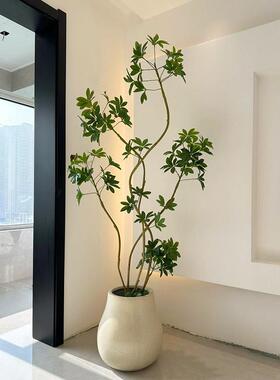 森空间彷真绿色植物装饰鸭脚木室内客厅落地大型假盆栽轻奢高级感