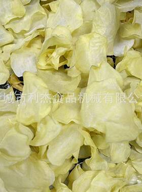 供应竹笋烘干机连续式冬笋干切片烘干设备全自动土豆片烘干机