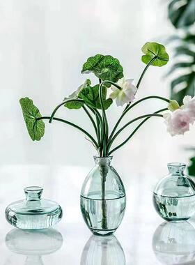 水养一枝花餐桌客厅家居摆件
