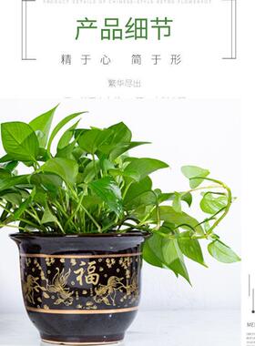 陶瓷花盆陶瓷花盆2026新款花盆陶瓷花盆特大号中式古典阳台桌面兰