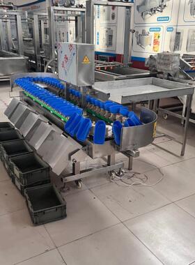 自动上料桃子重量分拣机 柿子柿饼称重分选设备 商用百香果选果机