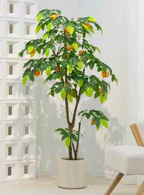 模拟柠檬树绿色植物盆栽植物服装店绿色植物橱窗装饰彷生假绿色植