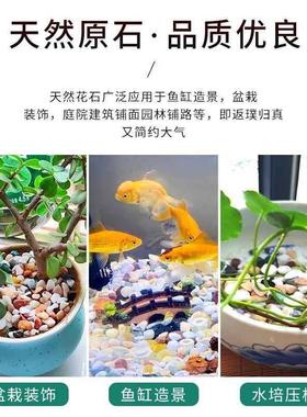放在花盆里的小石头养花石子彩色石头花盆小彩石盆栽铺面造景装饰