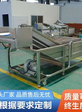 全自动果蔬气泡清洗机玉米加工设备中药材高压喷淋农残多功能