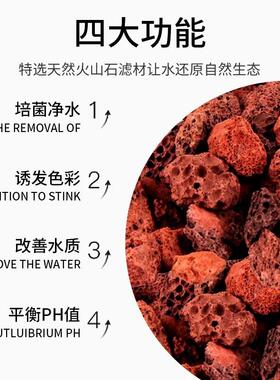 火山石鱼缸专用水族造景垫底砂古法养鱼材料大块过滤石火山岩颗粒