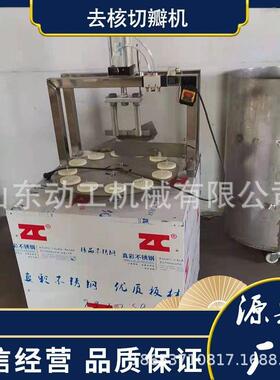 转盘式毛桃去核切瓣设备 商用不锈钢苹果去核机 工业果蔬切瓣机