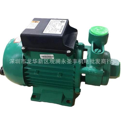 广东凌霄1DB35 1DB45 1DB65 -B清水泵 家用抽水泵330W 550W 750W - 图3