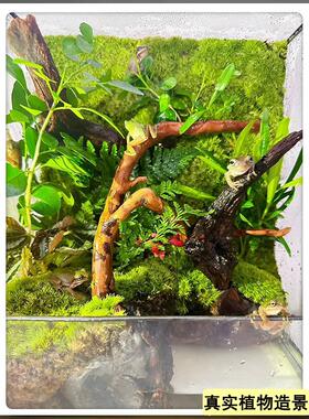苔藓微景观雨林生态缸造景成品室内桌面植物盆栽全套流水鱼缸摆件