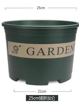 黑加仑花盆花盆园艺用品草莓花瓶