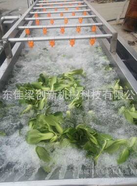 果蔬气泡清洗泥沙杂质清洗气泡式海产品根茎类材等多种物料洗