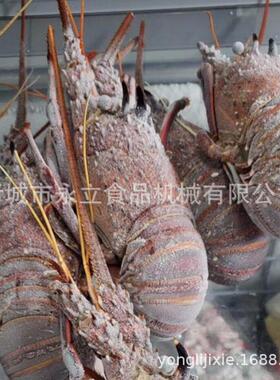 肉丸速冻机 隧道式急速冷冻设备冻库流水线 低温制冷机器