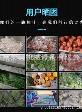 RSXC-120荣盛商用洗菜机蔬菜水肉果类清食洗机学校酒店幼园堂工厂